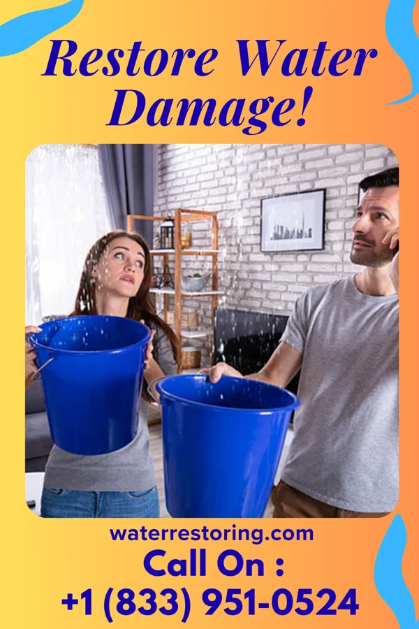 water restoration Sentinel Cleanup Force Saint George