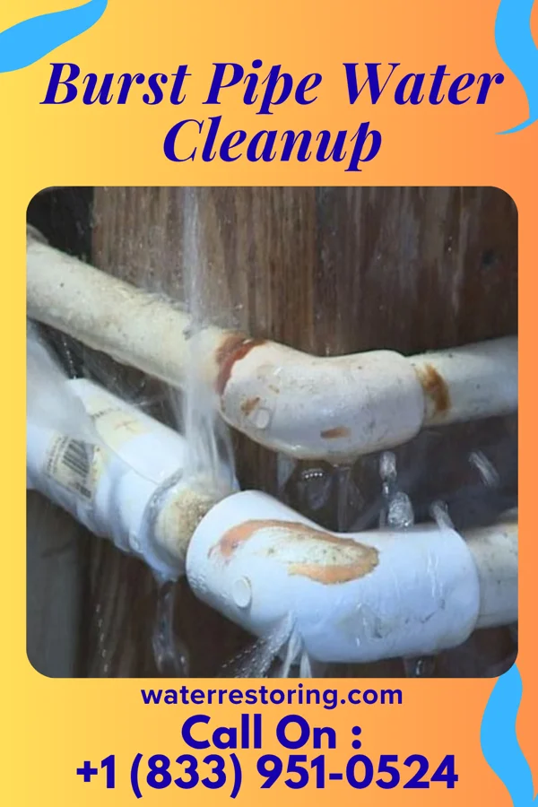 Burst Pipe Water Cleanup in Saint George, VT