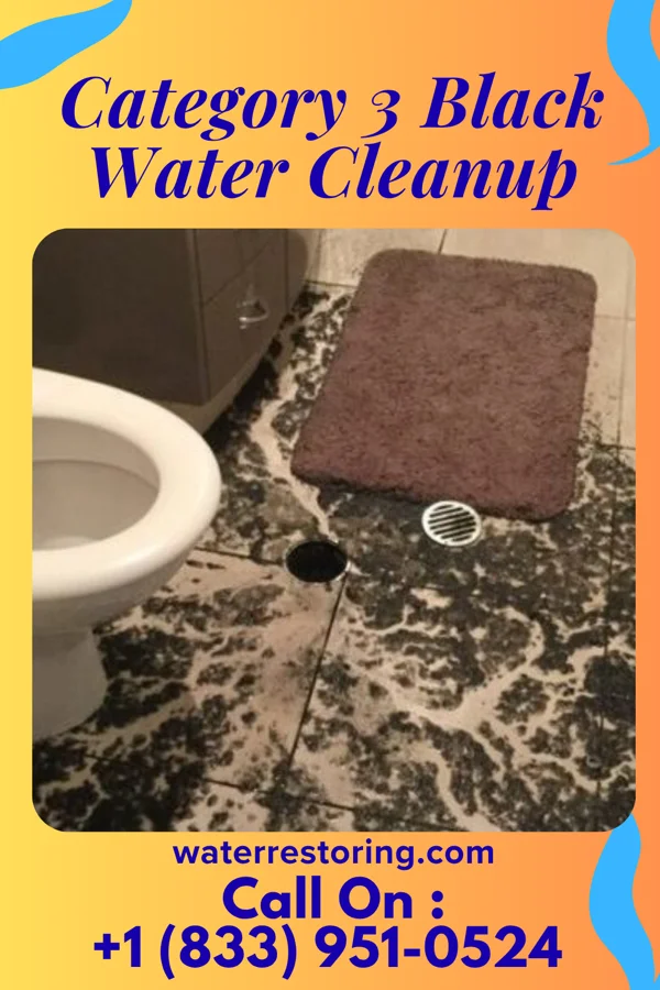 Category 3 Black Water Cleanup in Saint George, VT