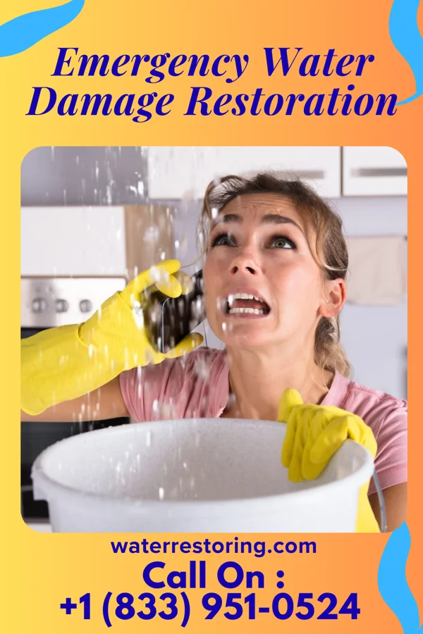 Emergency Water Damage Restoration in Saint George, VT