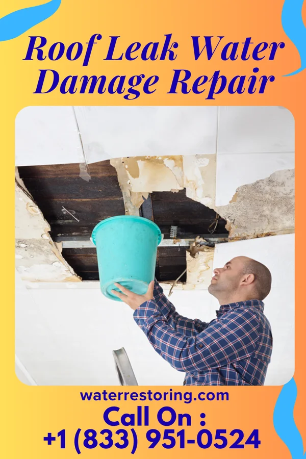 Roof Leak Water Damage Repair in Saint George, VT