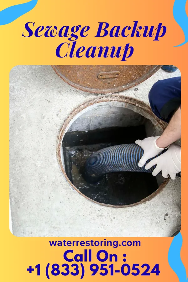 Sewage Backup Cleanup in Saint George, VT