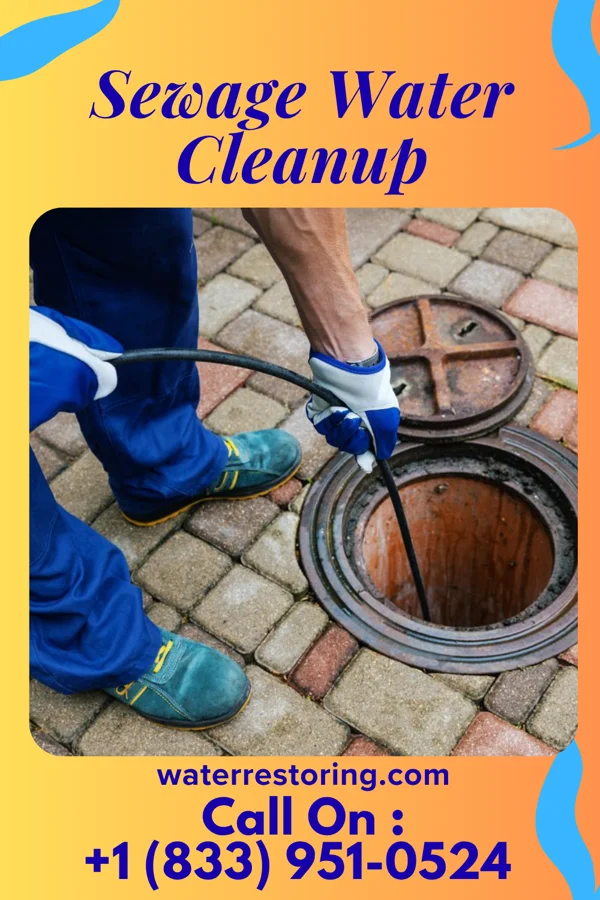 Sewage Water Cleanup in Saint George, VT